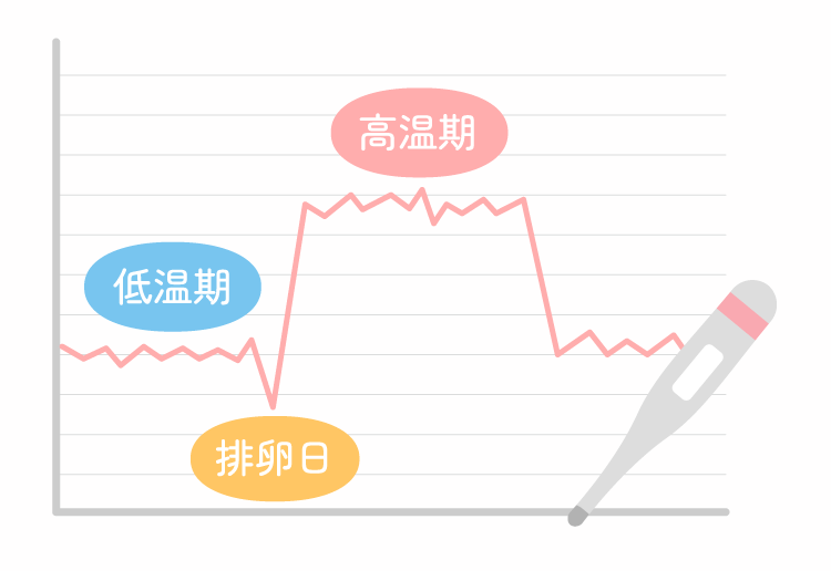 基礎体温